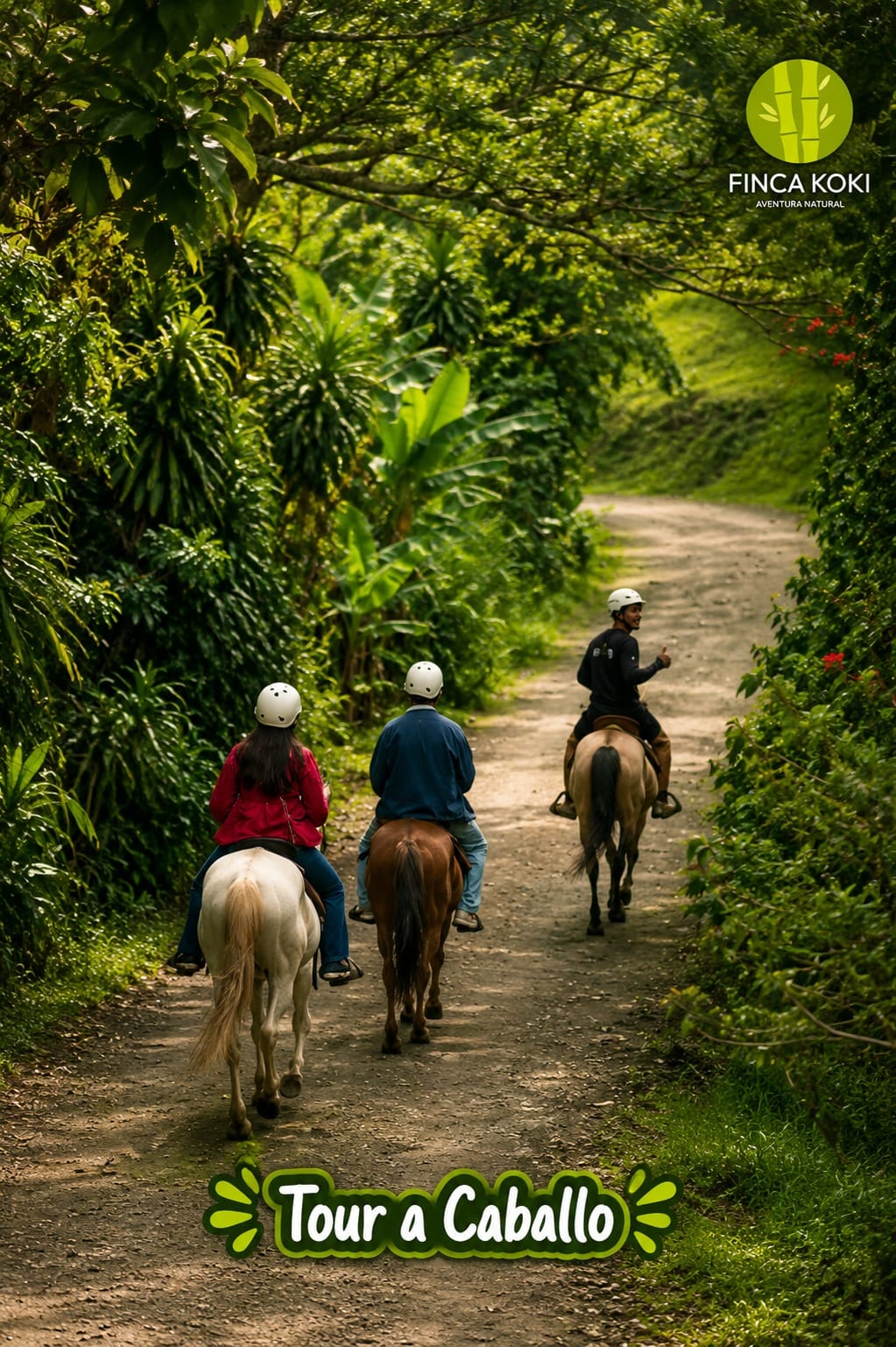 Recorrido entre bosque y naturaleza en Finca Koki
