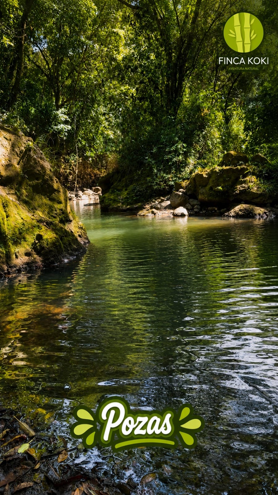 Pozas y cataratas en Finca Koki
