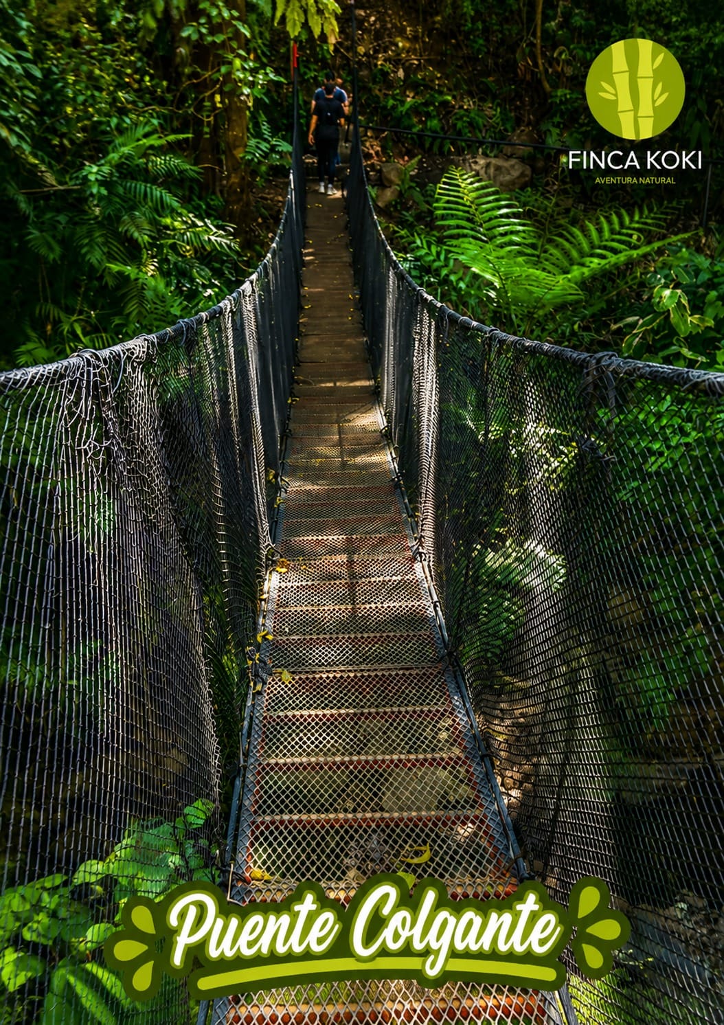 Puente colgante en Finca Koki